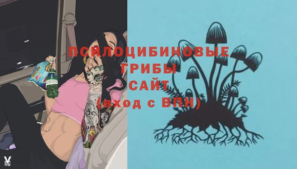 ПСИЛОЦИБИНОВЫЕ ГРИБЫ Каменск-Шахтинский