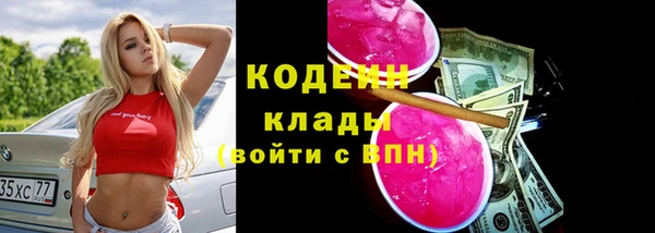 прущая мука Инта