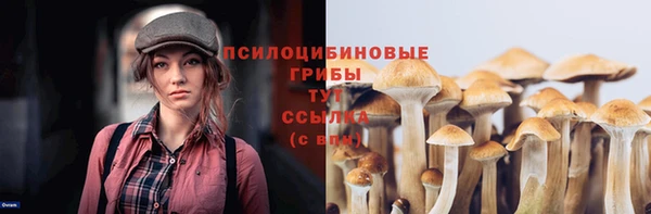 герыч Инсар