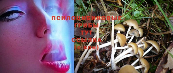 герыч Инсар