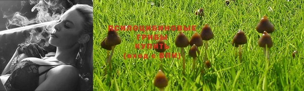 прущая мука Инта