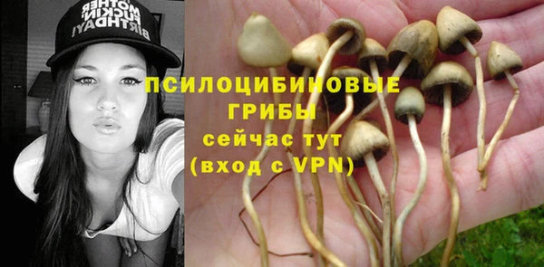 герыч Инсар